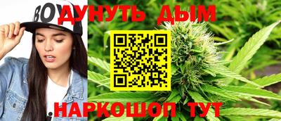 крисы Гулькевичи