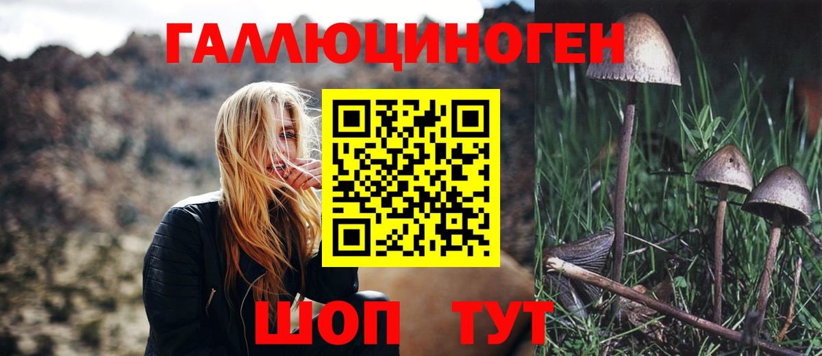 ГАШИШ  COCAIN  Меф МЯУ МЯУ   Волхов  NBOMe  МДМА  Бошки Шишки  Героин  Альфа ПВП СОЛЬ кристаллы 