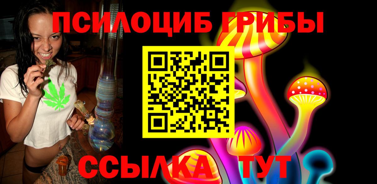 Псилоцибиновые грибы мицелий Волхов