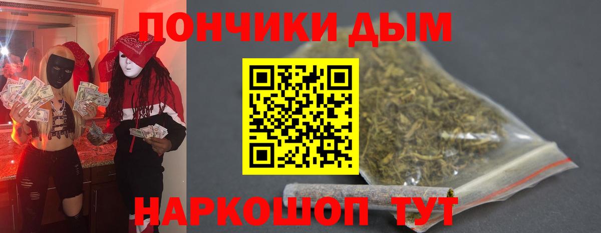 Бошки марихуана Bruce Banner  Вход с VPN  МАРИХУАНА ГИДРОПОН  Волхов  Конопля план 